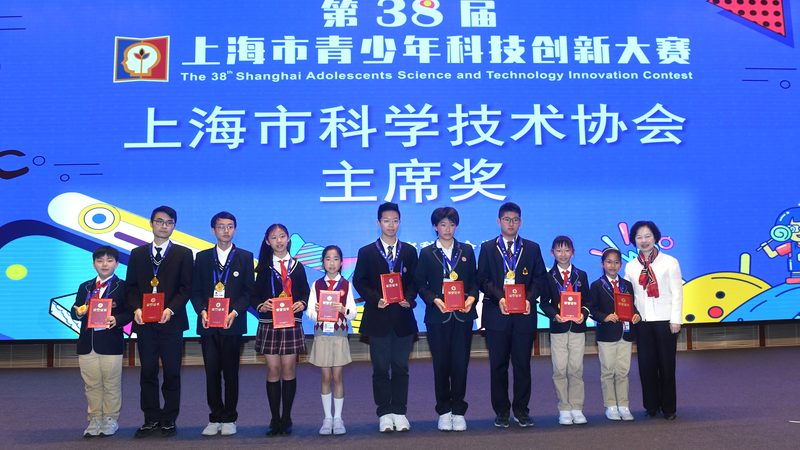 智慧城市系统集成项目经理：职责与挑战
