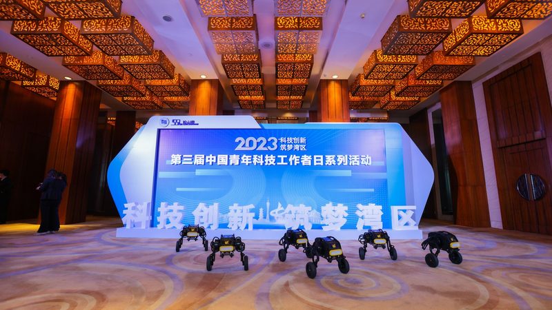云服务器与物理机：建站选择的深度解析